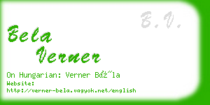 bela verner business card